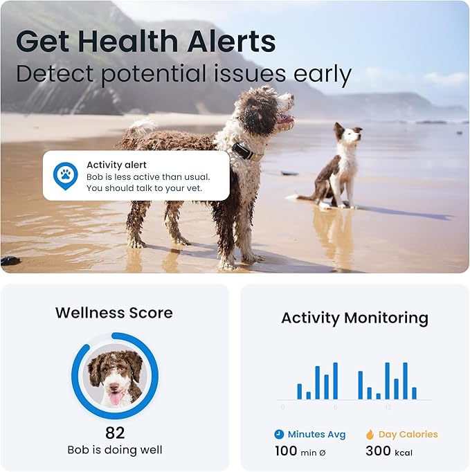 Tractive GPS Dog Tracker (2025 Release with Free 6 Month Subscription) | Real-time Pet Location Tracker | Health & Wellness Alerts | Virtual Fence for Dogs | Bark Monitoring (Black)