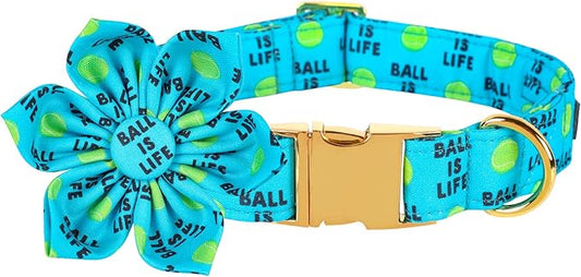 Lionet Paws Dog Collar with Flower - Cute Cotton Flower Dog Collar with Metal Buckle for Large Dog Girl Boy, XL, Neck 16-26in