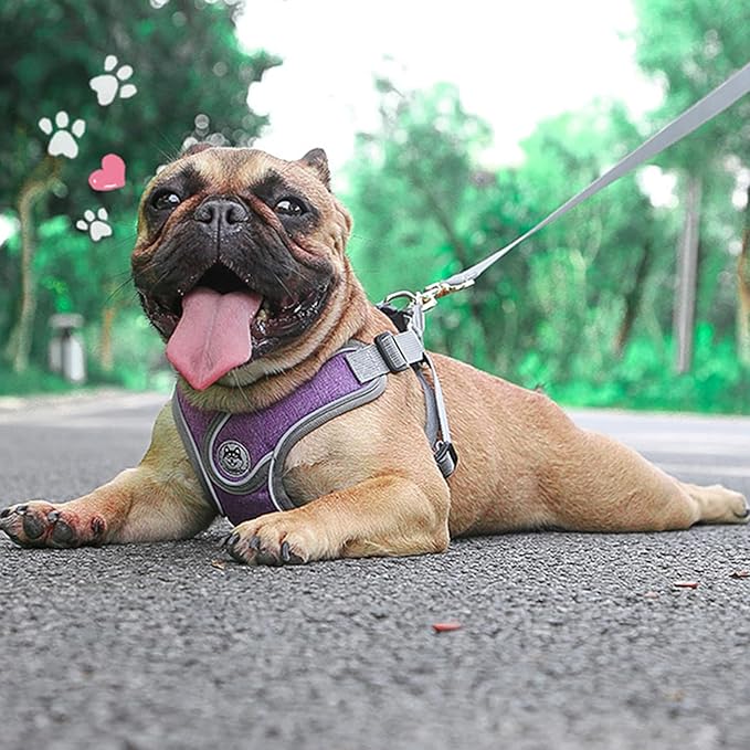 Large Dog Harness and Leash Set,No Pull Adjustable Step in Soft Mesh Vest Harness,Easy Walk Reflective Pet Harness with Padded Handle for Walking Training Small Medium Large Dogs and Cats (Purple, L)