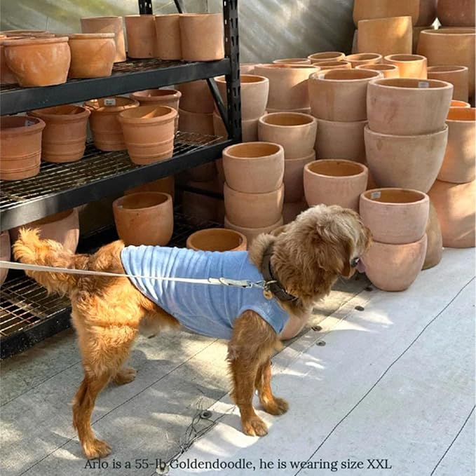 Little Beast Dog Clothes, Pet Clothes for Large, Medium and for Small Dogs (Dog Shirts Come in Multiple Colors and Styles) - Size: XX-Small Dogs, Blue