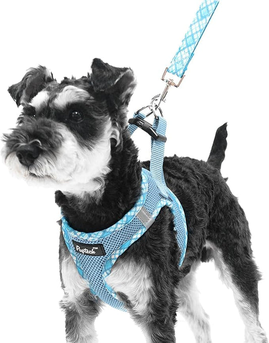 PUPTECK Dog Harness and Leash Set for Small Medium Dogs No Pull Step-in Soft Mesh Puppy Cat Vest Harnesses Reflective at Night, Sky Blue, M