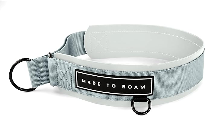 MADE TO ROAM Premium Everyday Dog Collar - Martingale Style No Pull Vegan Leather Collar, Heavy Duty and Lightweight for Small, Medium, Large Dogs (Alaska Daybreak, Size 8)