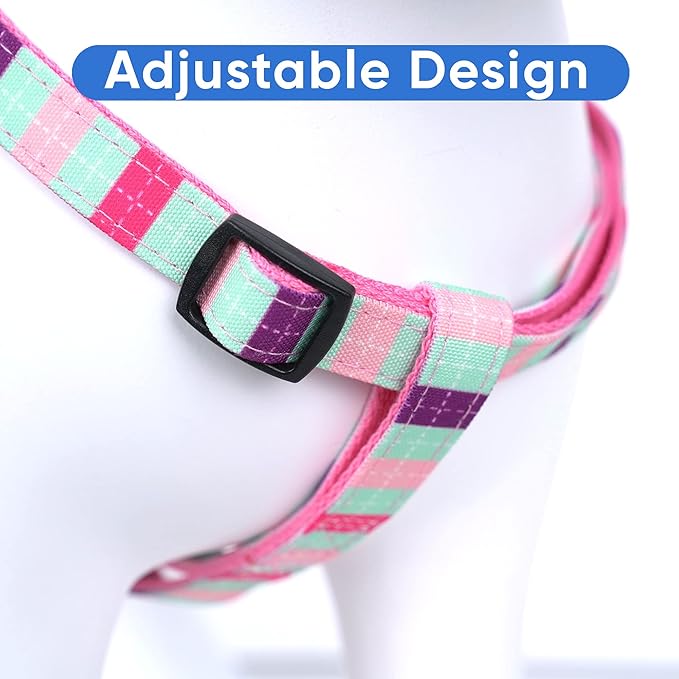 Pawtitas Pet Adjustable Solid Color Step in Puppy/Dog Harness 6 feet Matching Collar and Harness Sold Separately Small Teal/Pink/Purple Multicolor