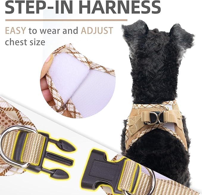 PUPTECK Dog Harness and Leash Set for Small Medium Dogs No Pull Step-in Soft Mesh Puppy Cat Vest Harnesses Reflective at Night, Beige XS