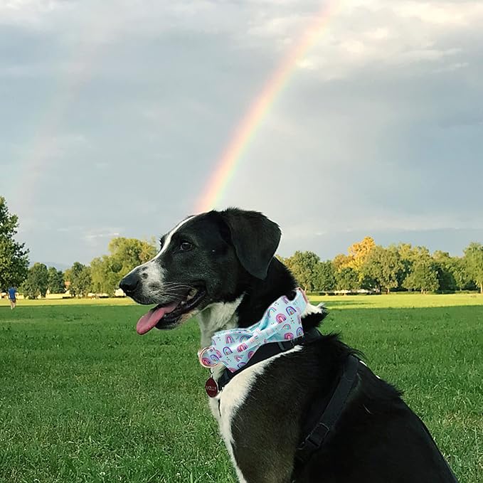 Dog Collar, Summer Rainbow Print Adjustable Dog Bow Collar Girl or Boy Pet Collar Bowtie Duarble Collars for Small Medium Large Dog