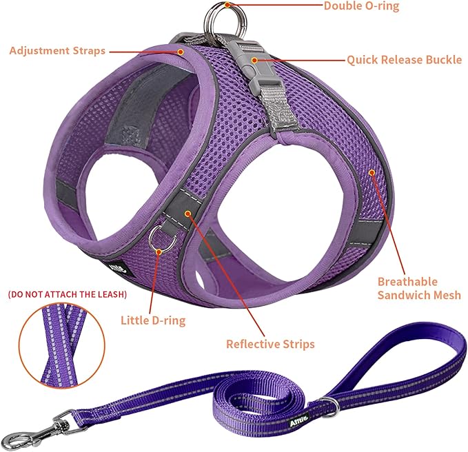 AIITLE Dog Harness, Spring No-Pull Cat Harness with a Leash, Adjustable Reflective Dog Vest, Cat Harness Escape Proof, Outdoor Walking, Camping for Extra Small Dogs and House Cats Pure Purple XXXS