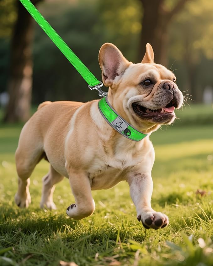 Joytale Dog Collar for Small Dogs, Neoprene Padded and Adjustable, Reflective Wide Heavy Duty Pet Collars with Durable Metal Belt Buckle for Walking, Green, S