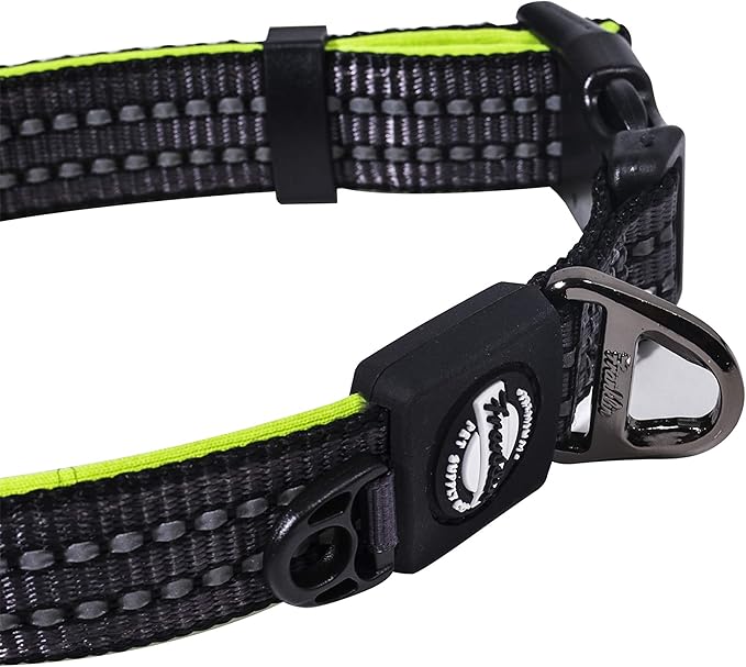 Franklin Pet Supply Co. - Nylon Dog Collar - Reflective Comfort - Fit - Neoprene - Adjustable- Small- Medium - Large - Puppy - Dog - Cat- Easy Clip