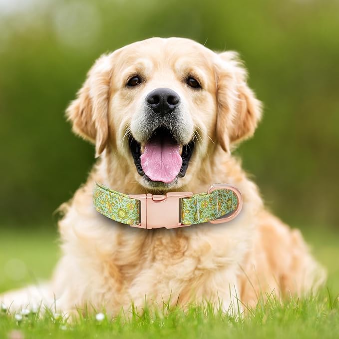 Dog Collar and Leash Set Girls Adjustable Puppy Collars with Planet Bow Tie for Small Medium Large Female Dogs, Green Planet, XS