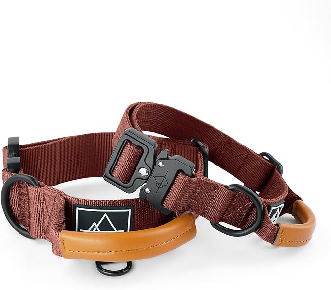 Made to ROAM Premium Explorer Control Collar - Adjustable Heavy Duty Nylon Dog Collar with Quick-Release Metal Buckle and Handle (Arizona Heartbeat, Control Size 2.5)