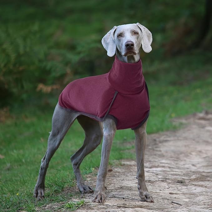 ROZKITCH Soft Warm Dog Sweater Pajamas, Dog Vest for Cold Weather Winter, Elastic Dog Turtleneck Sweater, Onesie Sleeveless Pullover Dog Clothes, Lightweight Pet Shirt for Small Medium Large Dog Red