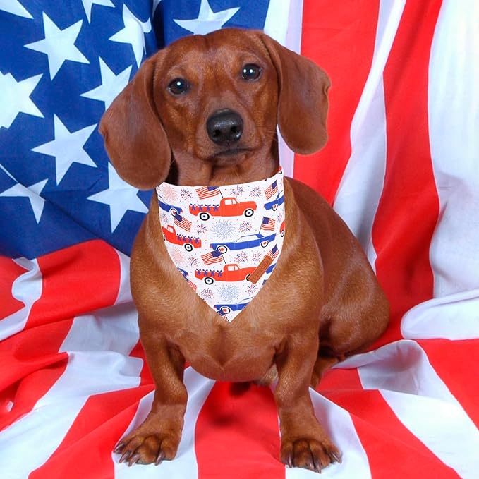 PTDECOR American USA Flag Dog Bandana Reversible Triangle Patriotic Dog Scarf 4th of July Bandanas for Small Dogs Pets (Blue & White, Small)
