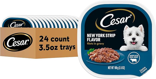 Cesar Filets in Gravy Adult Wet Dog Food, New York Strip Flavor, 3.5 oz. (24 Count, Pack of 1)