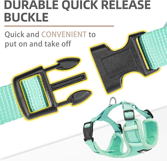 PUPTECK Dog Harness and Leash Set for Small Medium Dogs No Pull, Soft Mesh Adjustable Puppy Cat Harness Reflective at Night, Green L