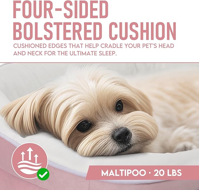 OhGeni Orthopedic Dog Couch Medium Sized Pet Beds for Fathers Gifts with Comfort Foam Support, Soft Indestructible Fabric, Machine Washable Waterproof Removable Cover, 28-Inch (Pink)