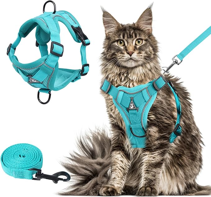 Summer cat Chest Harness and Leash, Anti-Escape Adjustable Soft mesh cat Leash and Chest Harness Set for All Types of Cats cat Vests (Emerald, XL)