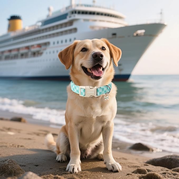 DOGWONG Green Dog Collar, Green Plaid Dog Collar Durable Checkered Pet Dog Collars Cute Summer Boy Puppy Necklace for Small Medium Large Dogs