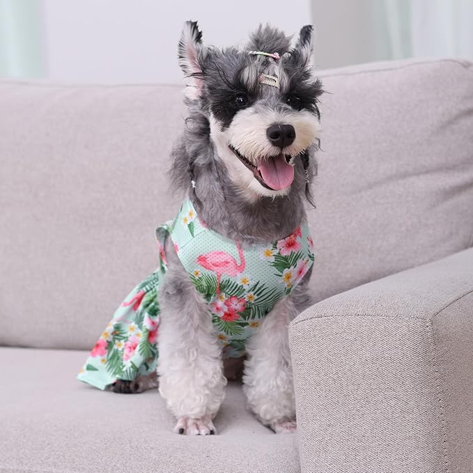 CuteBone Dog Mesh Dress Puppy Sundress Pet Outfit Summer Fashion for Small Dogs Girl Cat Clothes BF34XS