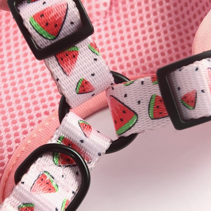 Dog Harness and Leash Set, Adjustable Dog Harness, Dog Leash, No Pull No Choke Puppy Harnesses for Walking Training for Small, Medium, Large Pet