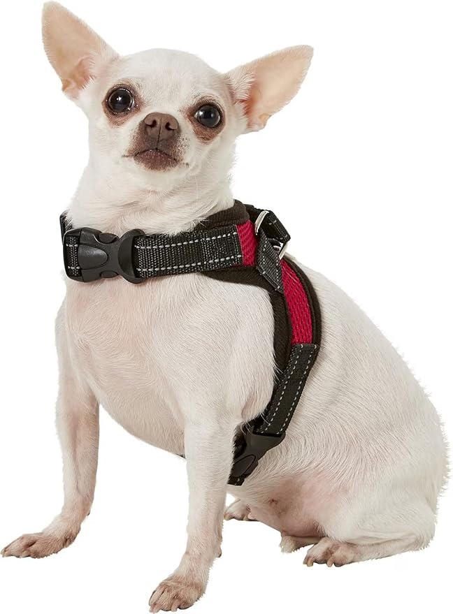 No Pull Reflective Adjustable Dog Harness with Handle- Comfortable Soft All Weather Mesh, Easy On Puppy Harness for Small Medium and Large Dogs (Red) XX-Small