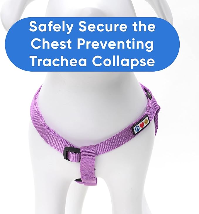 Pawtitas Solid Color Step in Dog Harness or Vest Harness Dog Training Walking of Your Puppy Harness Extra Small Dog Harness Orchid Purple Dog Harness