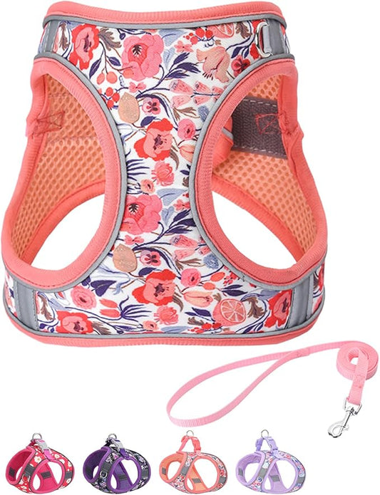 Step in Dog Harness and Leash Set, Flower Adjustable Easy Walk Puppy Harnesses, Soft Mesh Pet Vest Harness Small Size Adjustable No Pull Dog Harness for Small Medium Dogs(Pink, S)