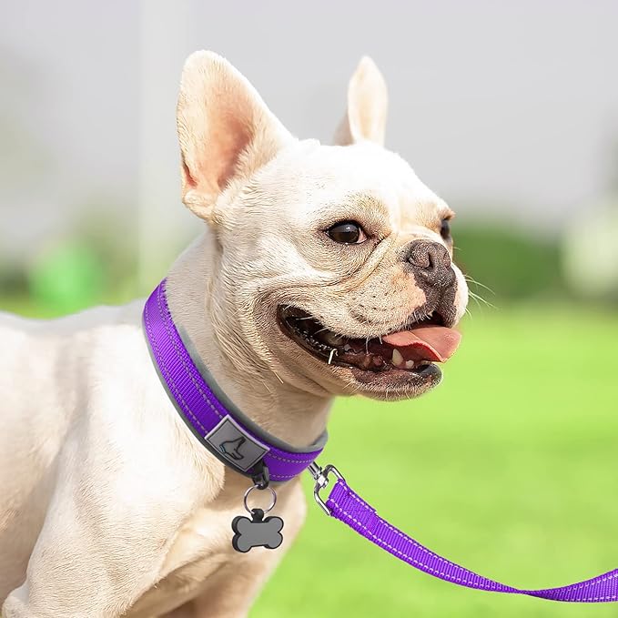 Joytale Dog Collar for Small Dogs, Neoprene Padded and Adjustable, Reflective Wide Heavy Duty Pet Collars with Durable Metal Belt Buckle for Walking, Purple, S