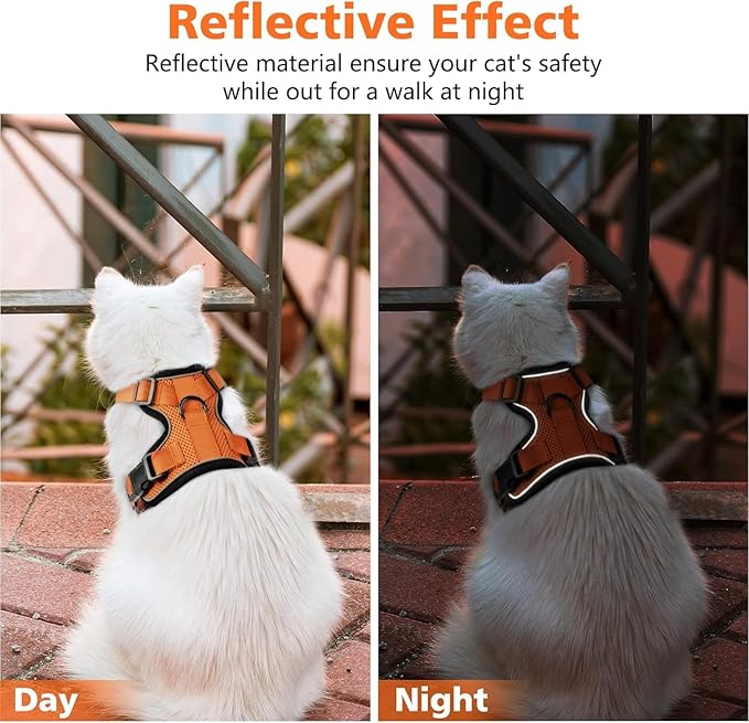 Dooradar Cat Harness and Leash Set, Escape Proof Safe Adjustable Kitten Vest Harnesses for Walking, Easy Control Soft Breathable Mesh Jacket with Reflective Strips for Cats, Orange, XXS