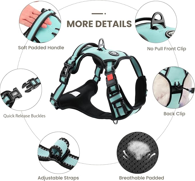 FURRYFECTION Dog Harness | No Pull Dog Harness | Reflective Oxford | Padded Handle | 4 Adjustable Straps | 2 Leash Clips | No Choke Pet Vest Harness for Small Medium Large Dogs | Turquoise | XL