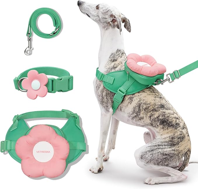 VETRESKA Flora Dog Harness, Leash and Collar Set, No Pull Dog Vest Harness for Walking and Training, Adjustable, Easy Control and Soft Padded Pet Harness and Backpack for Small Medium Large Dogs, M
