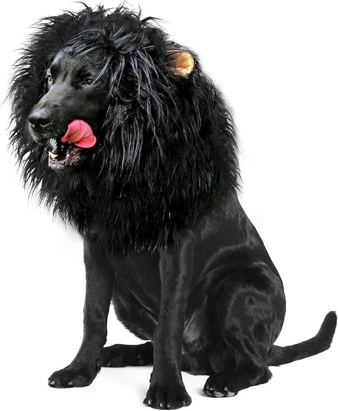 Onmygogo Lion Mane Wig for Dogs with Ears, Funny Pet Costumes for Halloween Christmas (Size M, Black)