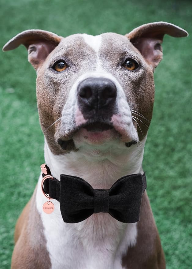 DOGWONG Hemp Cotton Dog Collar with Bow, Black Pet Collar Durable Adjustable Puppy Collar for Small Medium Large Dogs