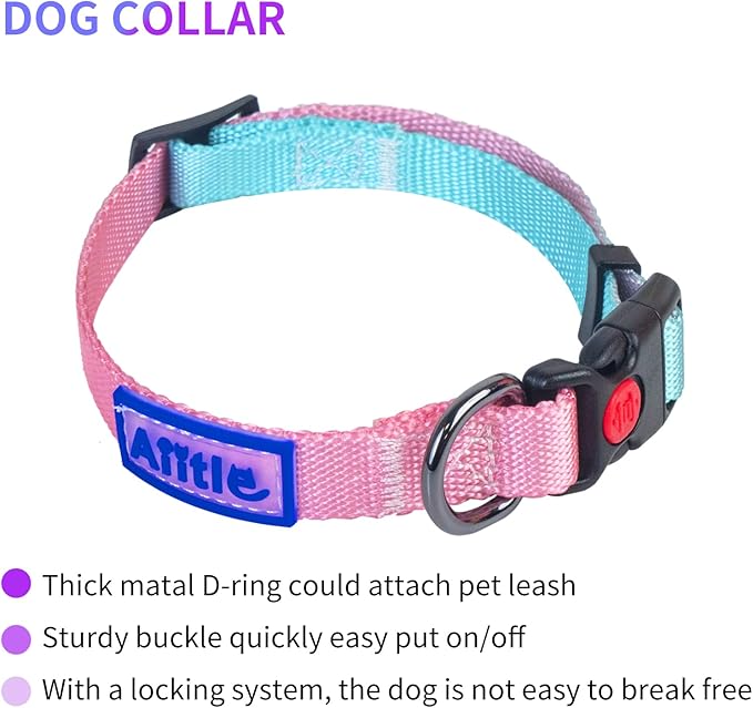 AIITLE Easy Walk Dog Harness Collar Leash Set - Adjustable Basic Collar Heavy Duty Leash - No Pull Halter Harness - Outdoor Training Running for Medium Dogs, Pink Gradient M