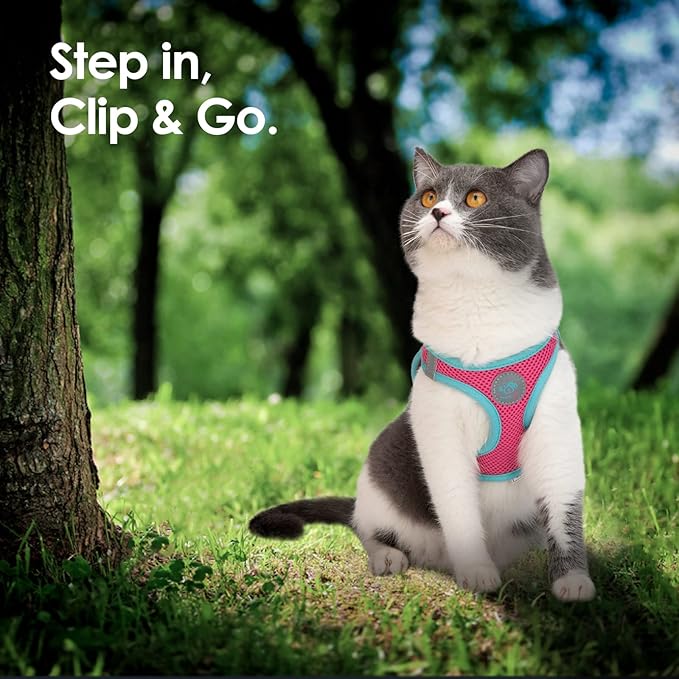 PHOEPET Step-in Dog Harness,Reflective Adjustable Dog Vest Harness, Soft Pet Walking Jacket with 2 Metal Leash Hooks for Dog and Cat(Pink Base & Green Straps,L)