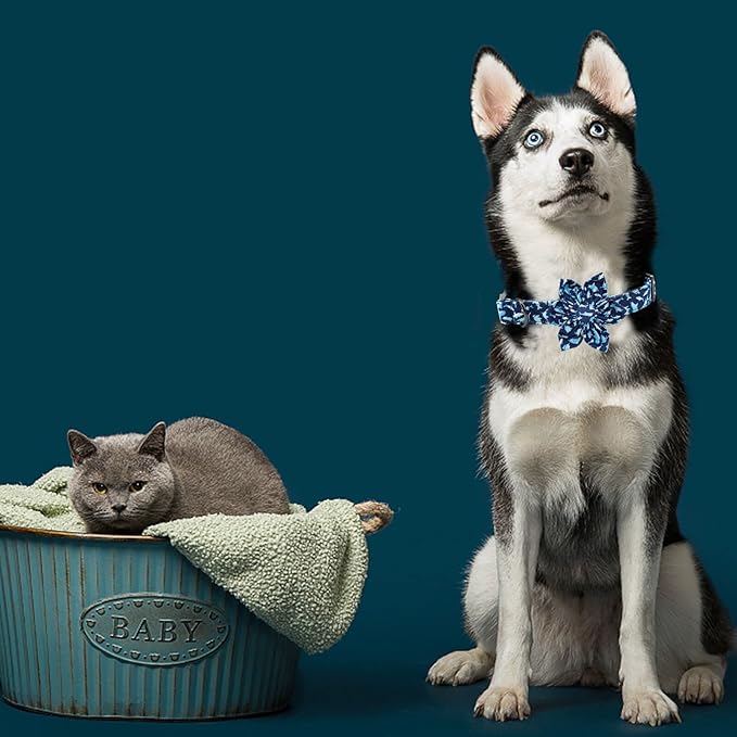 Elegant Little Tail Flower Shark Print Collar - Durable, Cute, Soft, Adjustable for Medium Dogs