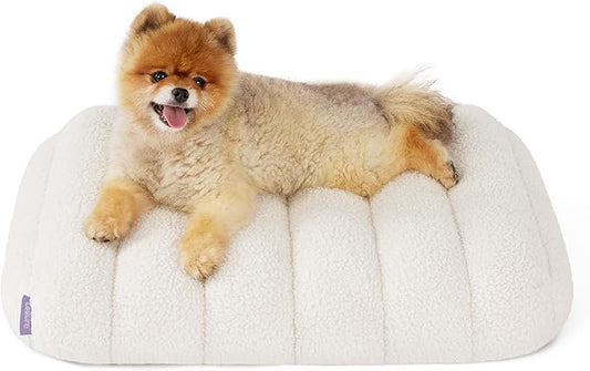 Lesure Cute Orthopedic Dog Bed for Small Dogs, Waterproof Chic Flat Pet Beds with Removable Washable Cover, Fuzzy Thick Egg Crate Foam Pet Mat for Indoor Use (24" x 18", Cream)
