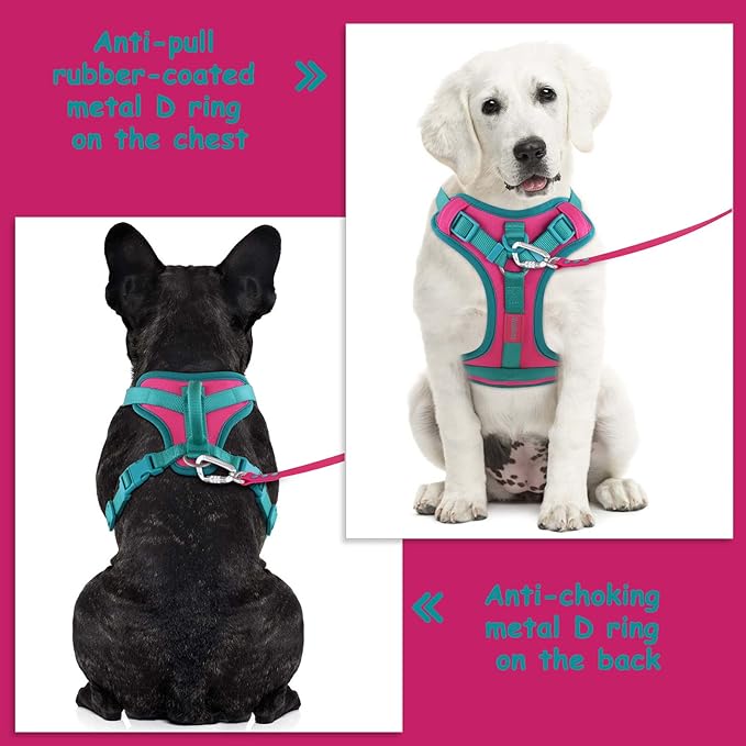 No Pull Dog Harness Adjustable Soft Padded Pet Vest with Control Handle Adorable Daily Harness for Dogs（Pink Peacock XS）