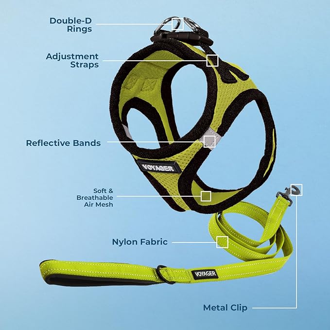 Voyager Step-in Air All Weather Mesh Harness and Reflective Dog 5 ft Leash Combo with Neoprene Handle, for Small, Medium and Large Breed Puppies by Best Pet Supplies - Lime/Black Trim, X-Large
