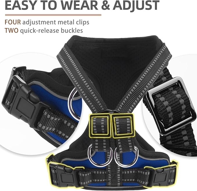 PUPTECK Dog Harness and Leash Set for Small Medium Sized Dogs, No Pull Dog Harness for Walking Training, Adjustable Reflective Puppy French Bulldog Frenchie Harness Soft Padded Vest, Blue, S