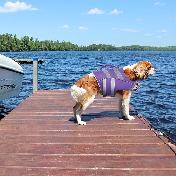 Kuoser Dog Life Jacket with Reflective Stripes, Adjustable High Visibility Doggie Water Vest Ripstop Puppy Lifesaver Pet Life Preserver for Small Medium and Large Dogs Puple XL