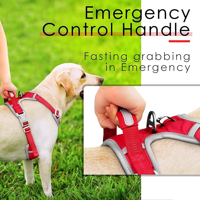 ThinkPet No Pull Harness Set Breathable Sport Harness with Handle - Reflective Padded Dog Safety Vest with Reflective Neon Dog Leash M Harness Leash Pack Red