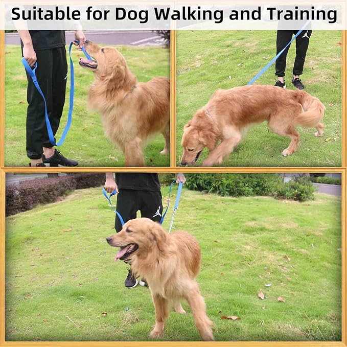 AMAGOOD 6 FT Puppy/Dog Leash, Strong and Durable Traditional Style Leash with Easy to Use Collar Hook, Great for Small, Medium and Large Dogs (3/4 in x 6 ft, Black and Blue (2-Pack))