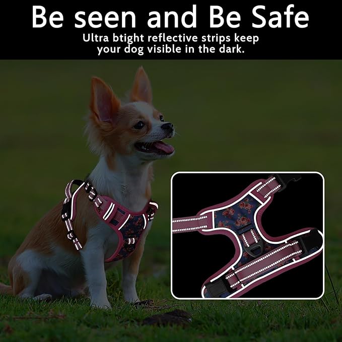 Timos No Pull Dog Harness, Release at Neck Reflective 3 Snap Buckles Adjustable No Choke Pet Vest with Front & Back 2 Leash Clips, Soft Padded Control Training Handle for Small Medium Large Dogs
