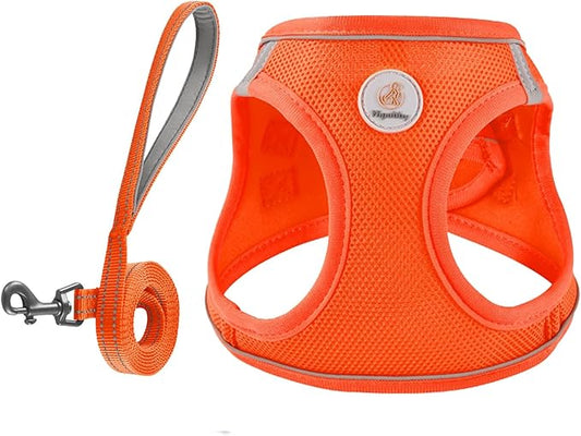 Dog Harness and Leash Set, No Pull Soft Mesh Pet Harness for Small Medium Dogs, Cats - Step in Adjustable Reflective Puppy Harness with Buckle and Double D-Rings - Orange, M