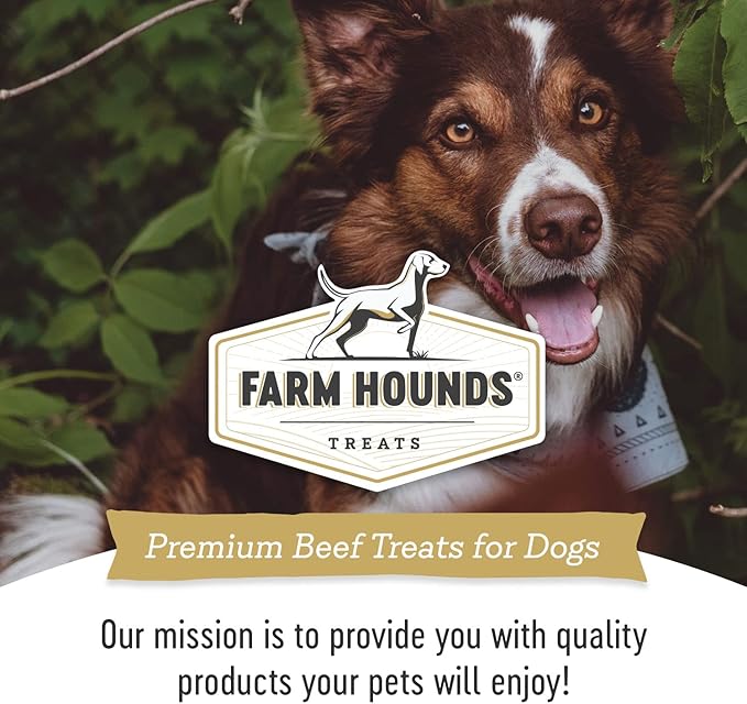 Farm Hounds - Beef Kidney - Premium Natural Beef Kidney Jerky For Dogs - Made From 100% Humanely Raised Cattle - Organ Treat - Great For Training & Treats - No Added Fillers - Made in USA -4oz -1 Pack