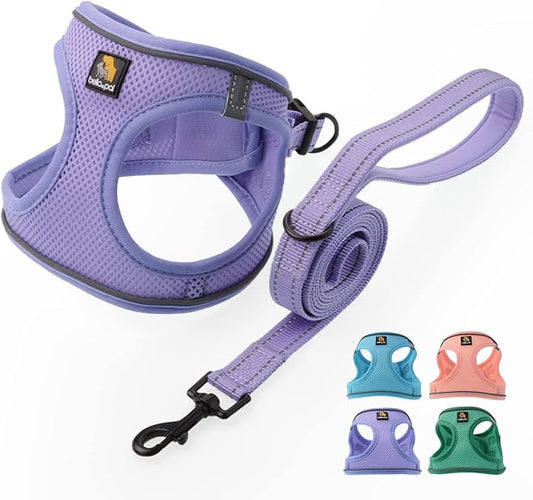 BELLA & PAL Puppy Harness with Leash Set, Step in Harness for Small Dogs, Dog Air Mesh Dog Vest Harness with Reflective Strip, No Pull No-Chock Harness for XXS, XS, Small, Medium Dog (Lavender, M)