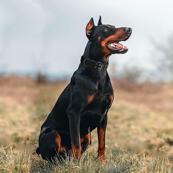 Tactical Dog Collar Military Adjustable Dog Collars Soft Nylon K9 Training Collar with Patch Heavy Duty Metal Buckle Collars for Medium Large Dogs (Black-1, XL)
