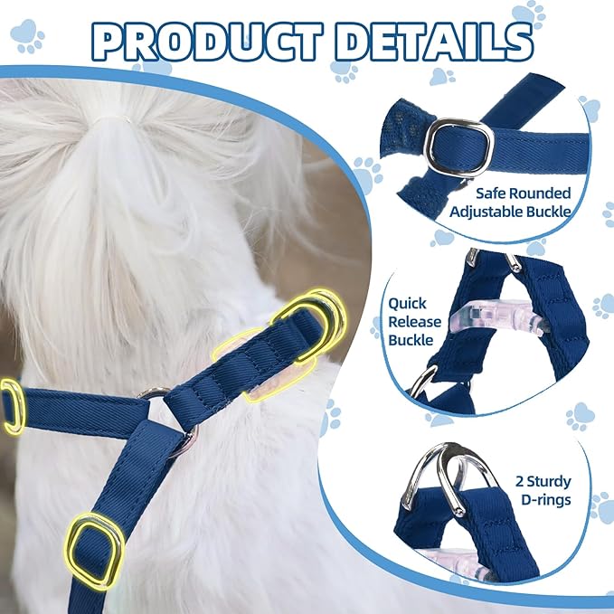 PUPTECK Dog Harness and Leash Set Small Sized, Step-in Cute Puppy Harness, Soft Lightweight Padded Vest, Escape Proof No Pull Pet Harnesses Easy for Walking, Blue, XXS