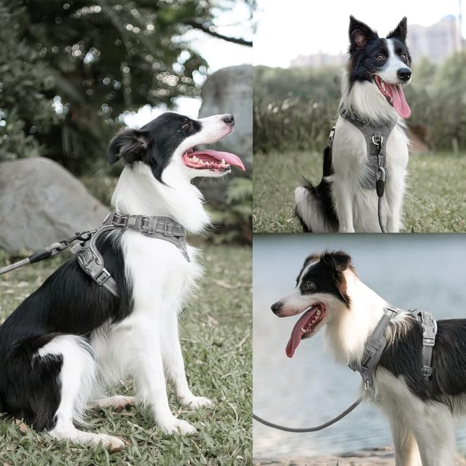 PoyPet No Pull Dog Harness and 5 Feet Leash Set, Release on Neck Reflective Adjustable Pet Vest, Front & Back 2 D-Ring and Soft Padded Pet Harness with Handle for Small to Large Dogs(Grey,M)