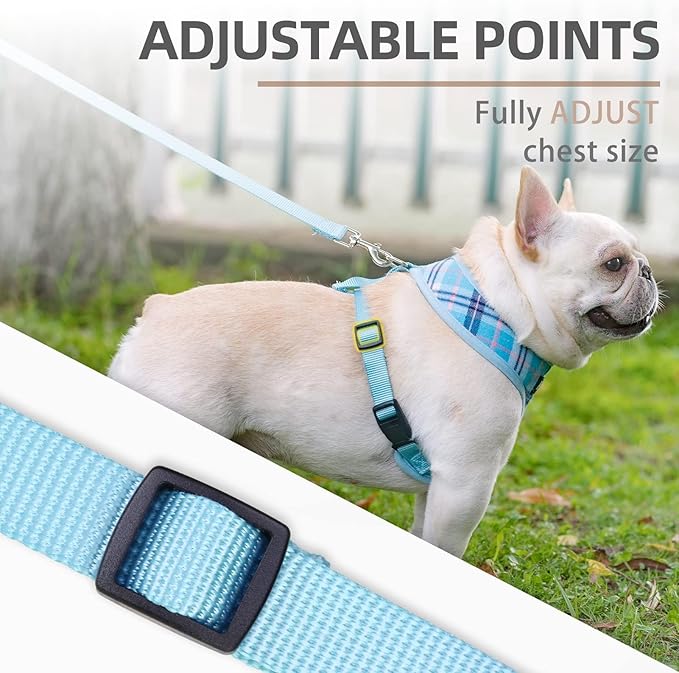 PUPTECK Soft Mesh Dog Harness and Leash Set Pet Puppy Cat Comfort Padded Vest No Pull Harnesses, Light Blue, M